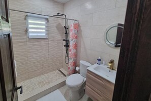 Douche, sèche-cheveux, serviettes fournies, papier toilette