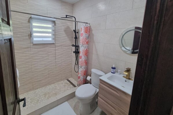 Une salle de bain avec douche, toilettes et lavabo.
