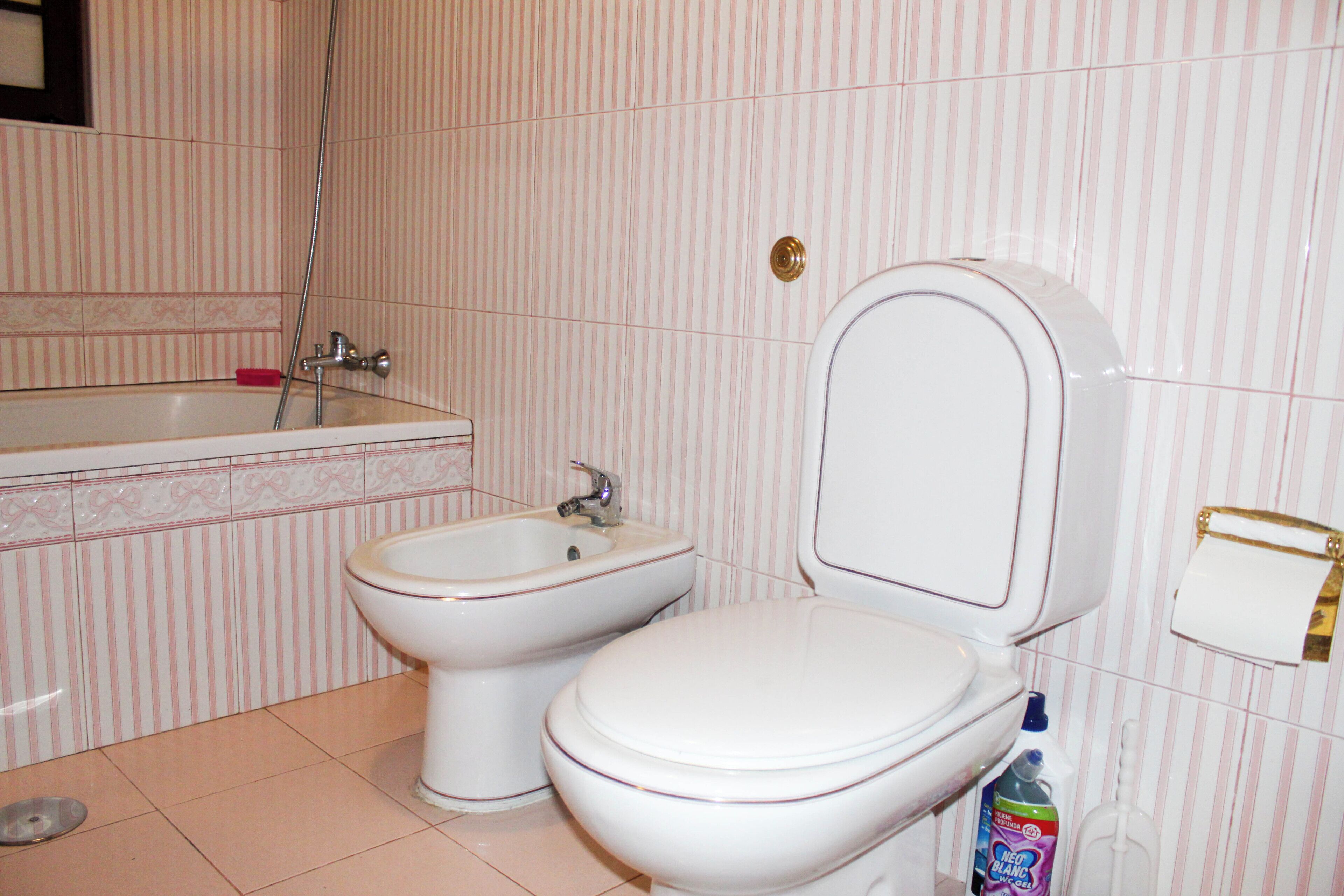 A bathroom with a bathtub, a bidet, and a toilet.