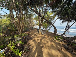 Camastros y toallas de playa