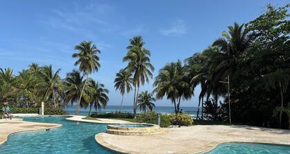 Surfer's Tropical Paradise