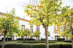 Standard-huone, näköala pihalle | Minibaari, työpöytä, äänieristys, ilmainen Wi-Fi