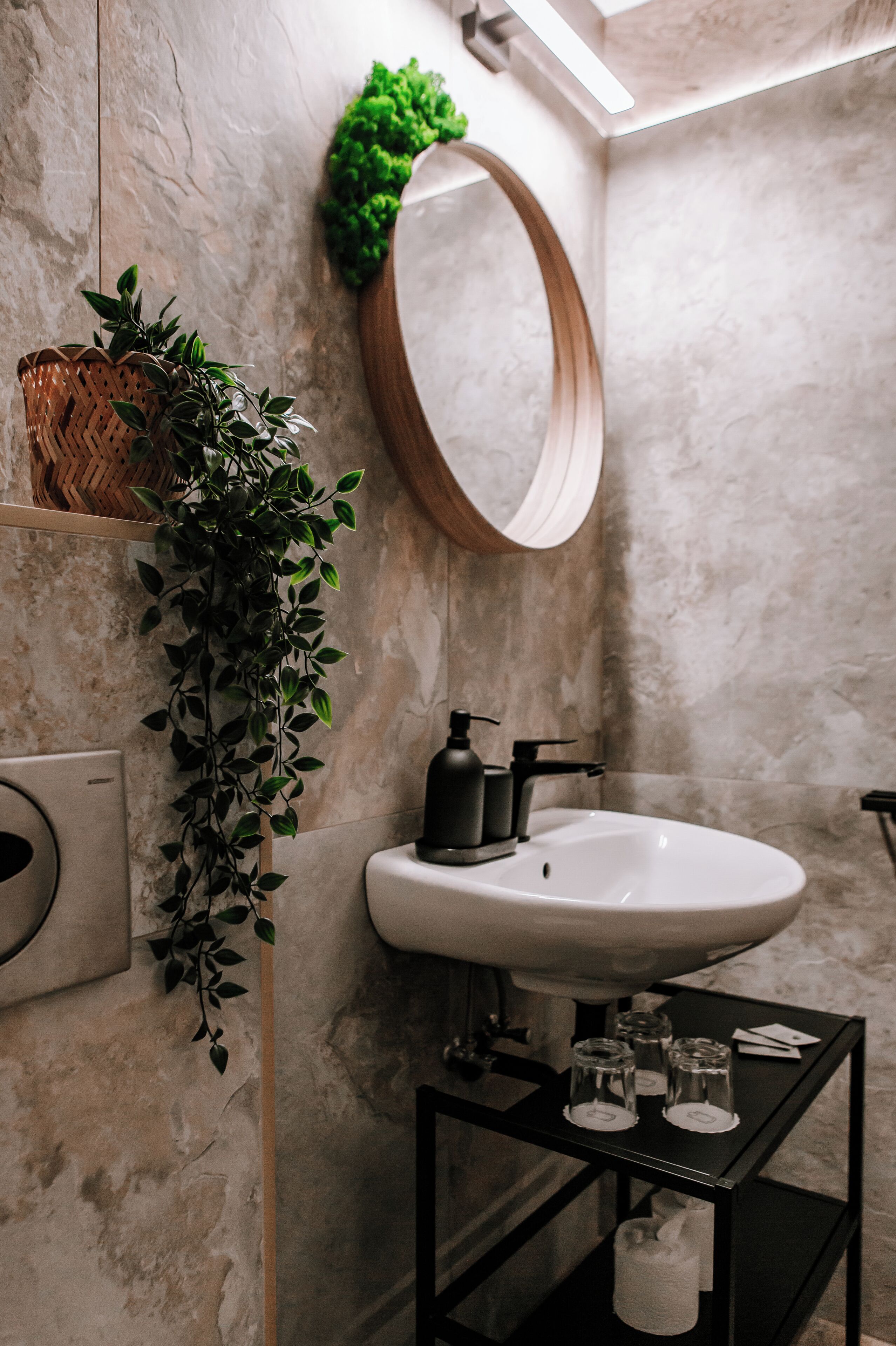 A bathroom with a white sink, a mirror, a green plant, and a black shelf with toiletries.