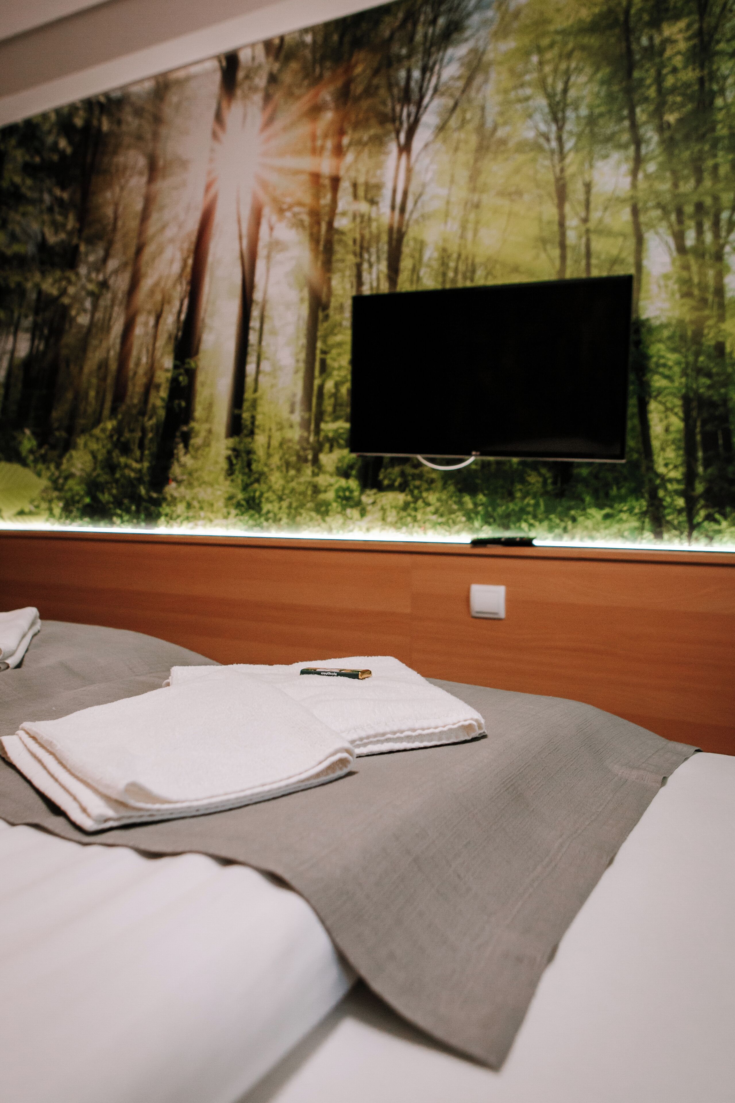 Habitació d'hotel amb un mural gran de bosc, televisió de pantalla plana i llits ben organitzats.