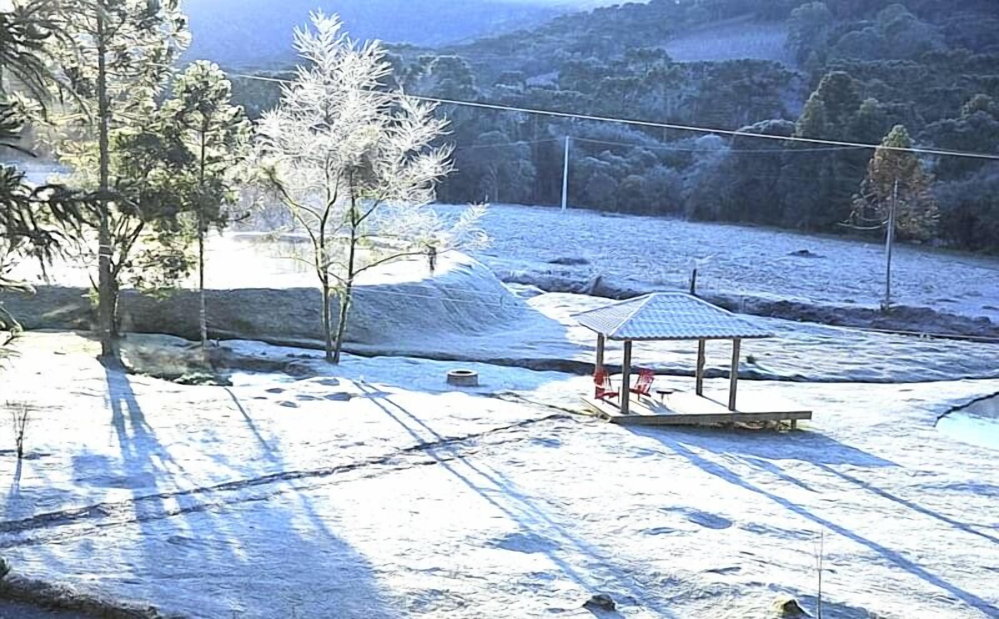 デザイン キャビン コートヤードビュー | テラス / パティオ