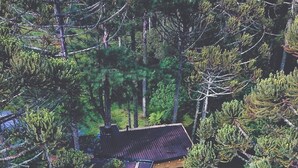 Eine Holzhütte mit einer Holzterrasse, einer kleinen Veranda und einem eingezäunten Garten.