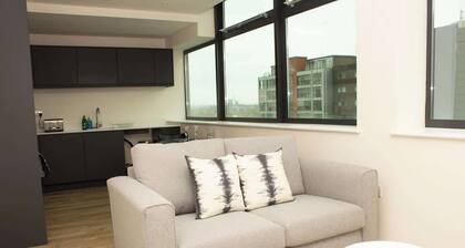 Dashing 1BR Penthouse near MCR Stadiums