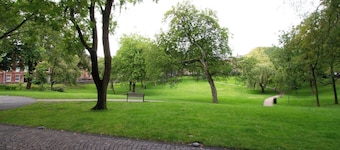 Cosy Studio in Preston near City Centre