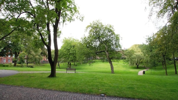 Ein gepflasterter Weg, Rasenflächen und Bäume in einer Parkanlage.