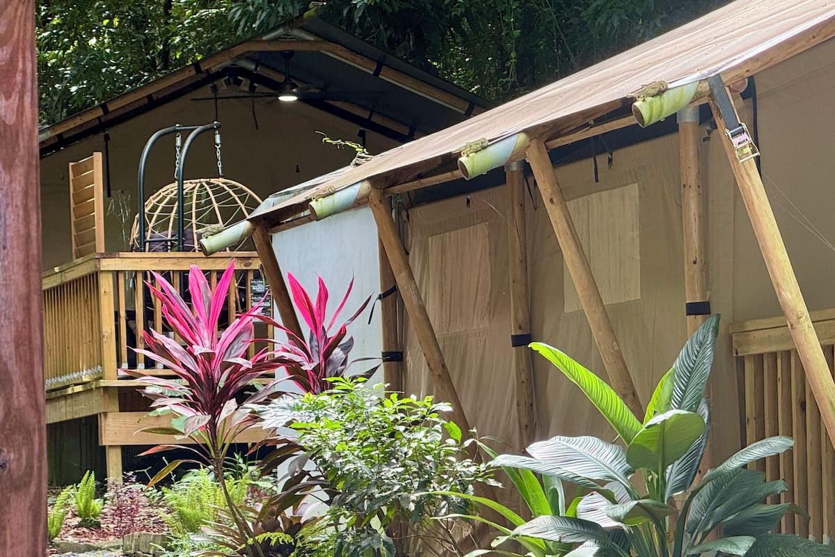 Habitación Deluxe | Ropa de cama de alta calidad, edredones de plumas, caja fuerte