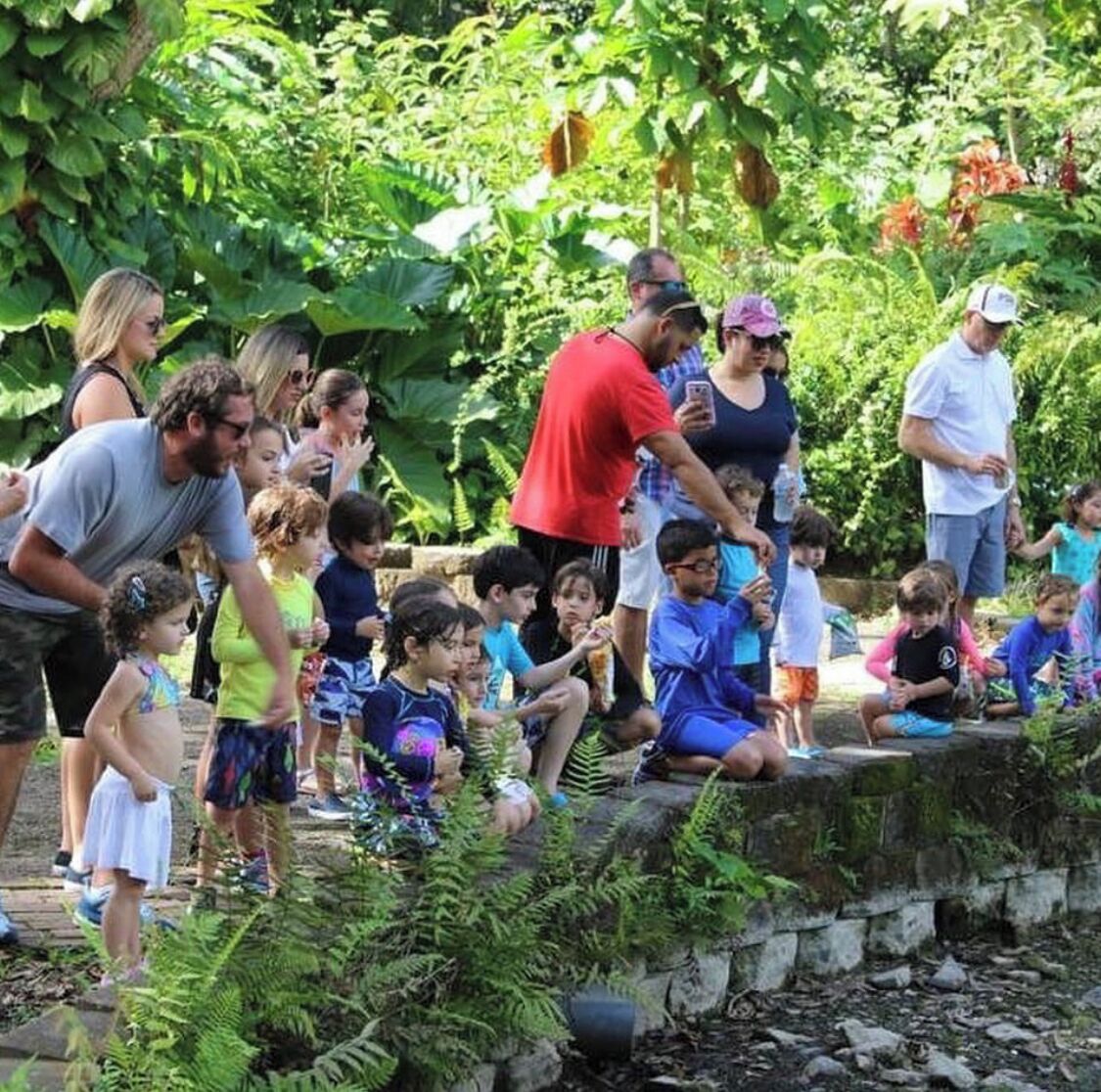 A group of people, including children, gathered outdoors in a lush, green environment with dense foliage and a stone wall.
