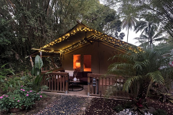 Deluxe Queen ADA | Premium bedding, down comforters, in-room safe, individually decorated