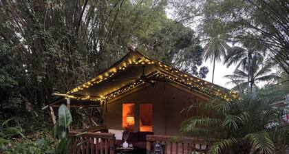 Jardin al Bosque