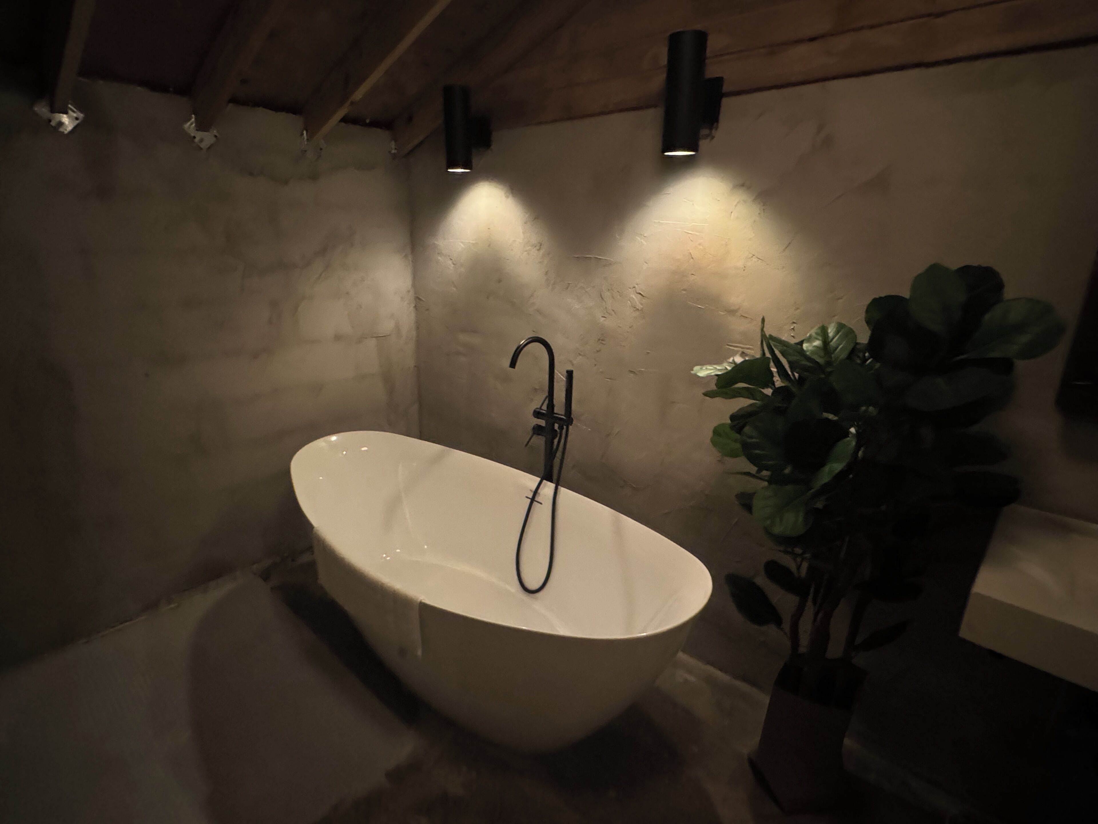 Ein modernes Badezimmer mit einer freistehenden Badewanne, einem Wandarmaturen und einem Blumentopf.