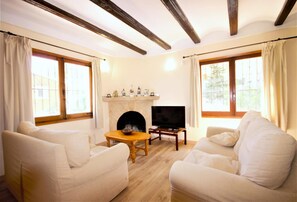 Télévision, cheminée