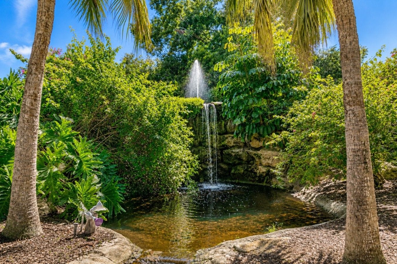 Una fuente natural rodeada de abundante vegetación y árboles.