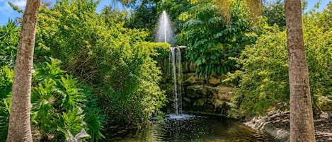 Una fuente natural rodeada de abundante vegetación y árboles.