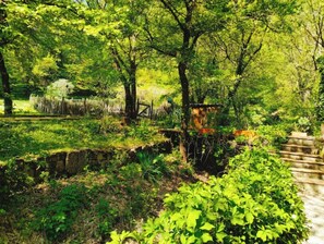 Property grounds - Gîte du Moulin- La Risse (Callas)