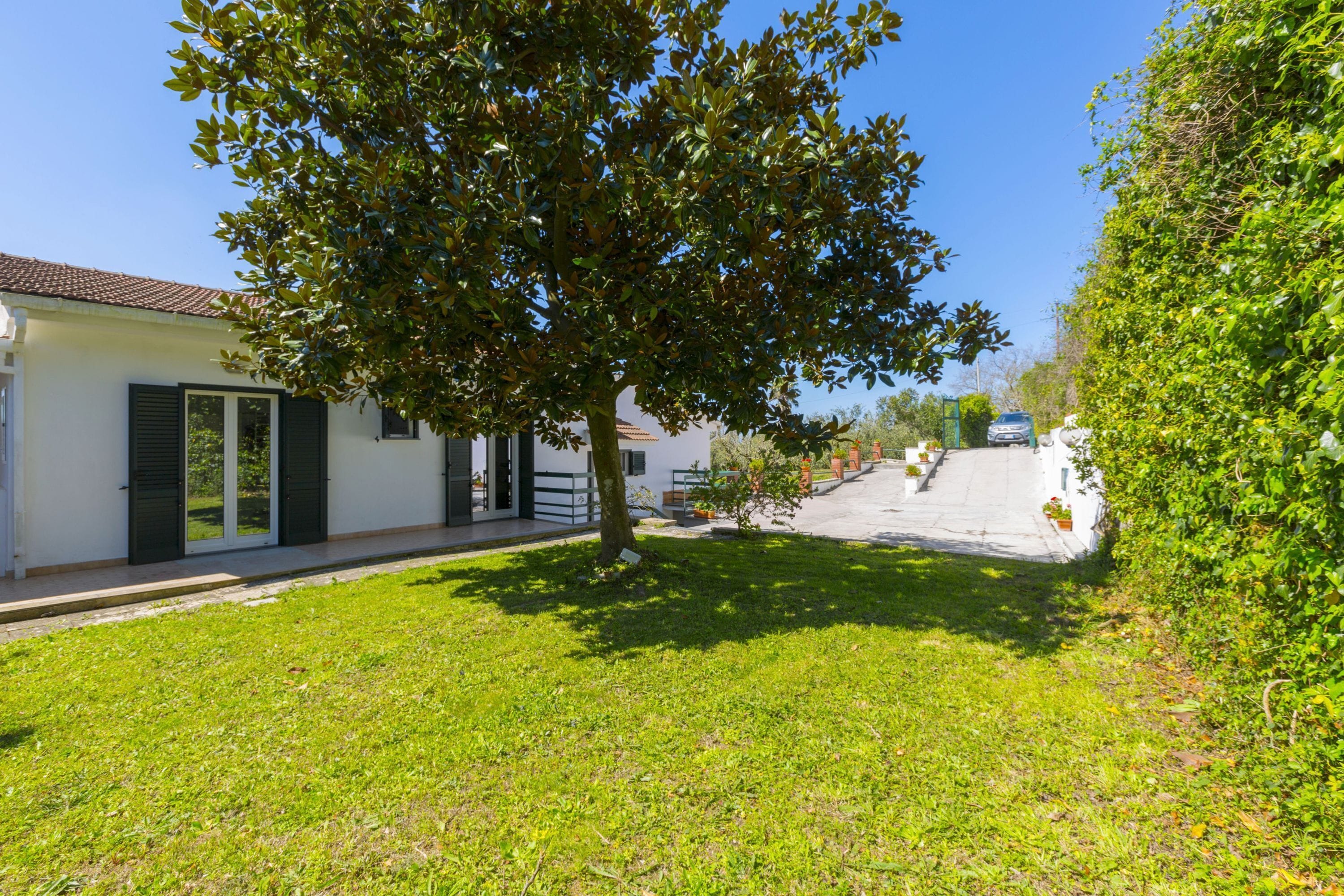 A residential street with a white house, a tree, and a clear blue sky.