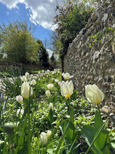 Remote hut set in the beautiful Kent Downs