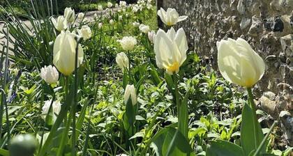 Remote hut set in the beautiful Kent Downs