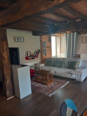 Televisión, chimenea y libros 