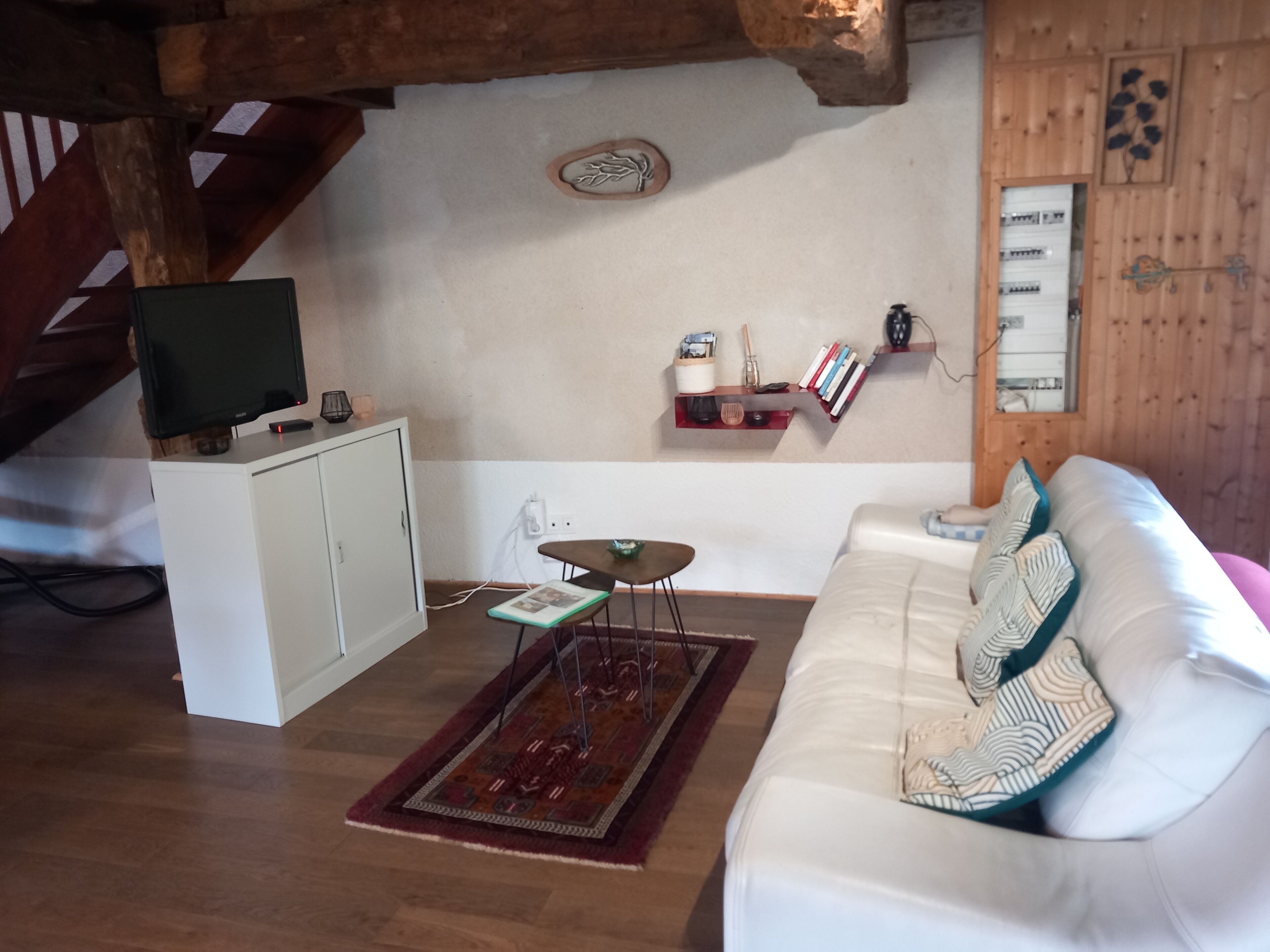 Fernseher, Kamin, Bücher