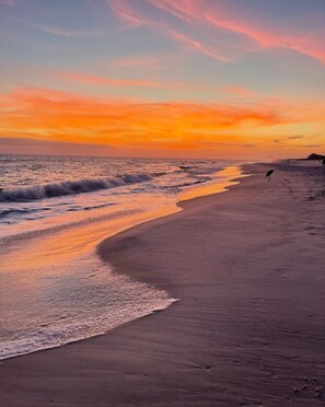 Beach | On the beach - Shipwatch C202 (Pensacola)