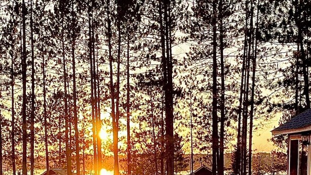 Ein Campingplatz mit Picknicktisch, Stühlen und Grill, umgeben von hohen Bäumen und einem Sonnenuntergang im Hintergrund.