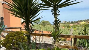 Un jardin agrémenté de plantes succulentes et doté d’une clôture en bois.