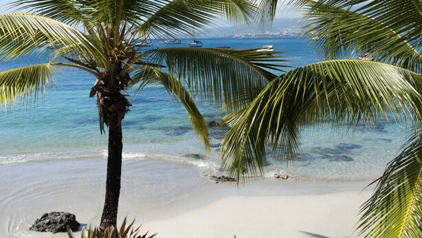 Une plage avec une eau turquoise et limpide, des palmiers et des bateaux qui se dessinent à l’horizon.