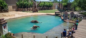 Rustic Modern Spacious home/near Nrg, Downtown, meyerland plaza