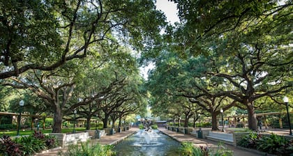 Rustic Modern Spacious home/near Nrg, Downtown, meyerland plaza