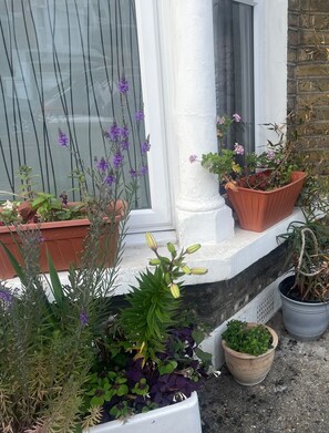 Exterior detail - 1 Bed Victorian Flat Sleeps 4 - Garden & Patio (London)