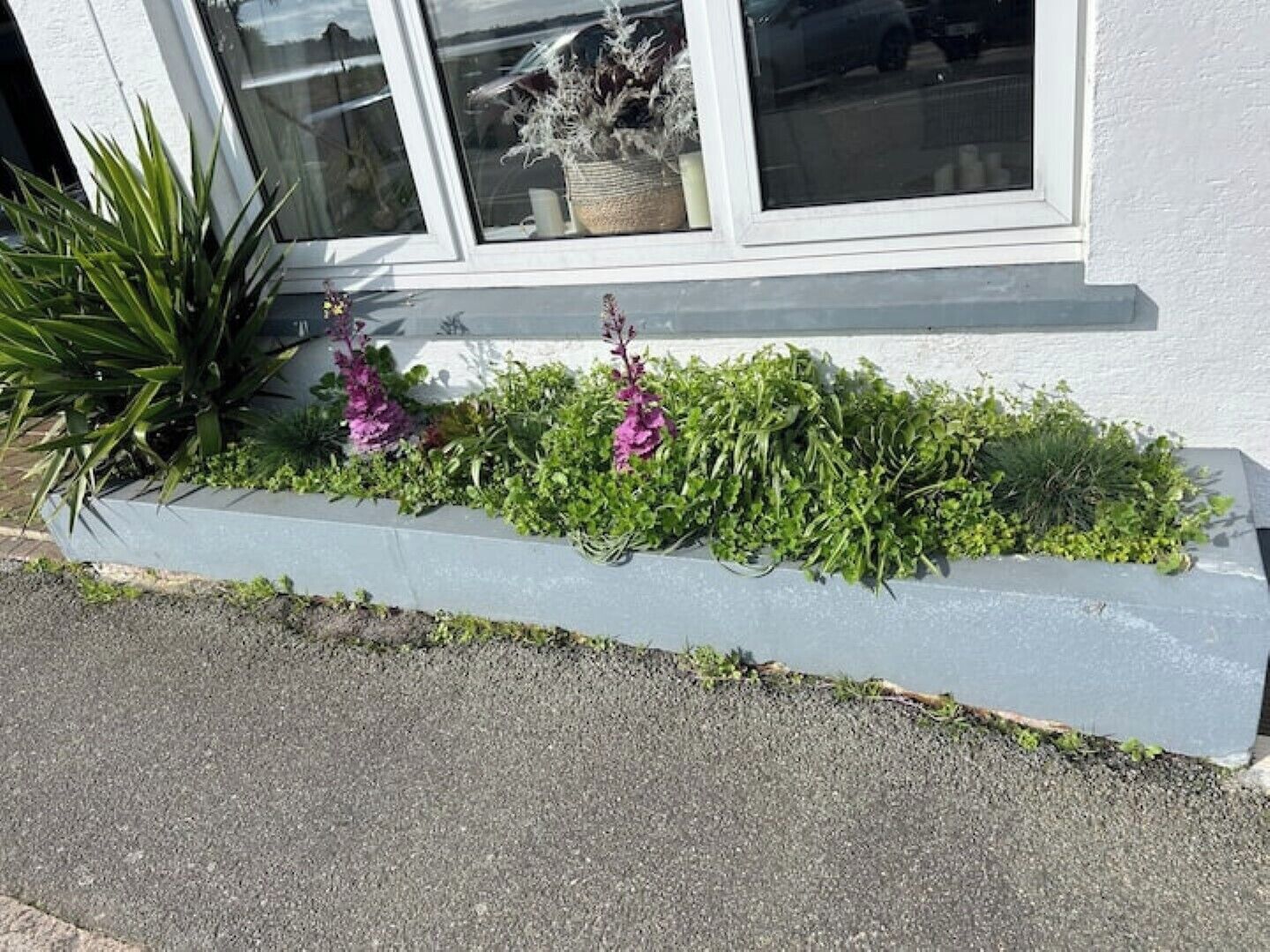 A window box with various plants and flowers.