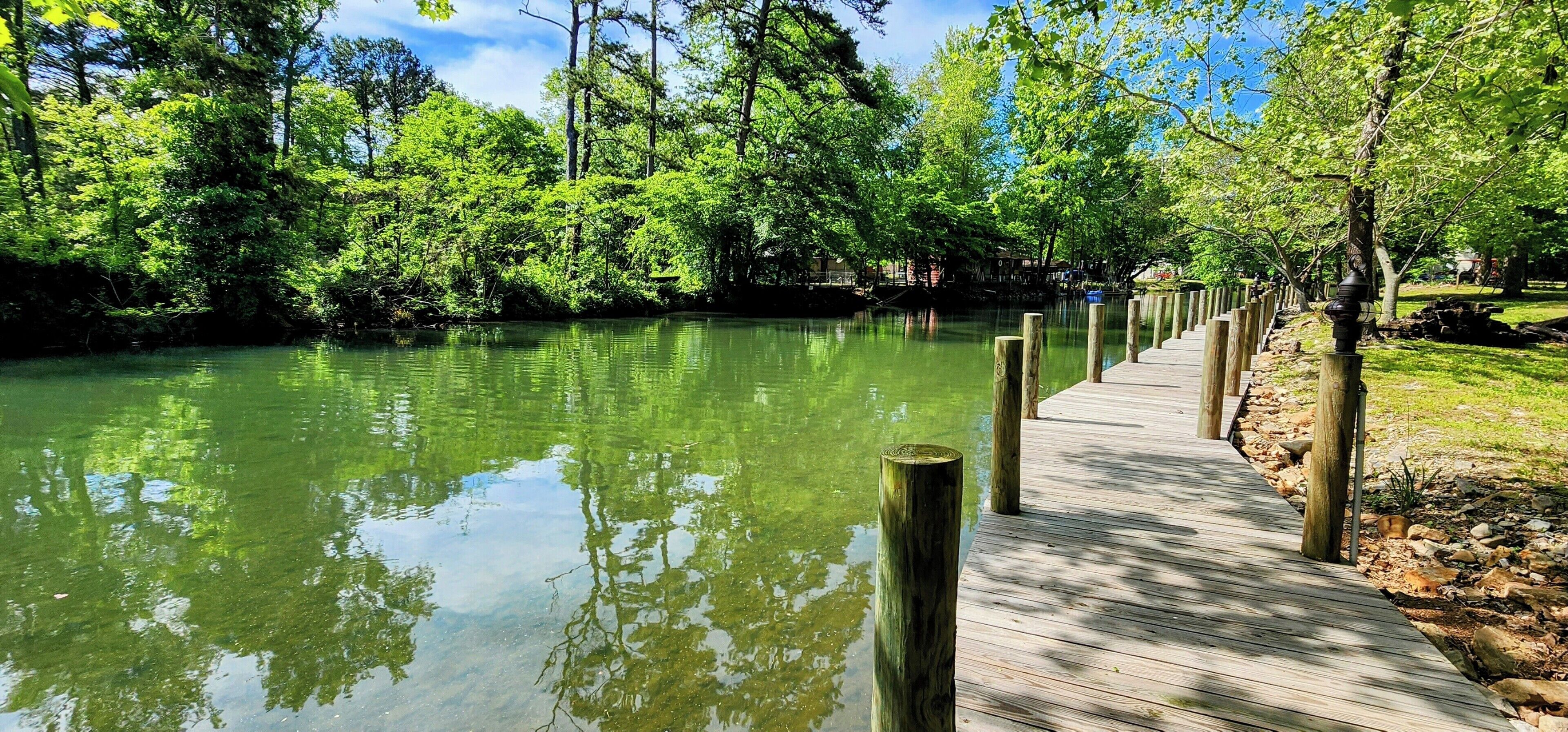Una passerella in legno che costeggia un fiume tranquillo, circondata da vegetazione lussureggiante e alberi.