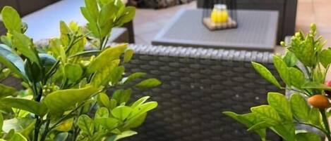 Chambre Double Confort | Terrasse/Patio