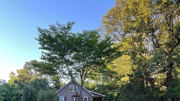 A backyard with a fire pit, two Adirondack chairs, and a wooden bench.
