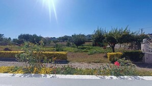 A residential area with a paved road, hedges, and a variety of plants. - Mondalva Apartments located in village of Quintela, near to São Pedro de Alva (São Pedro de Alva)