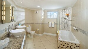 Hair dryer, towels, soap, shampoo