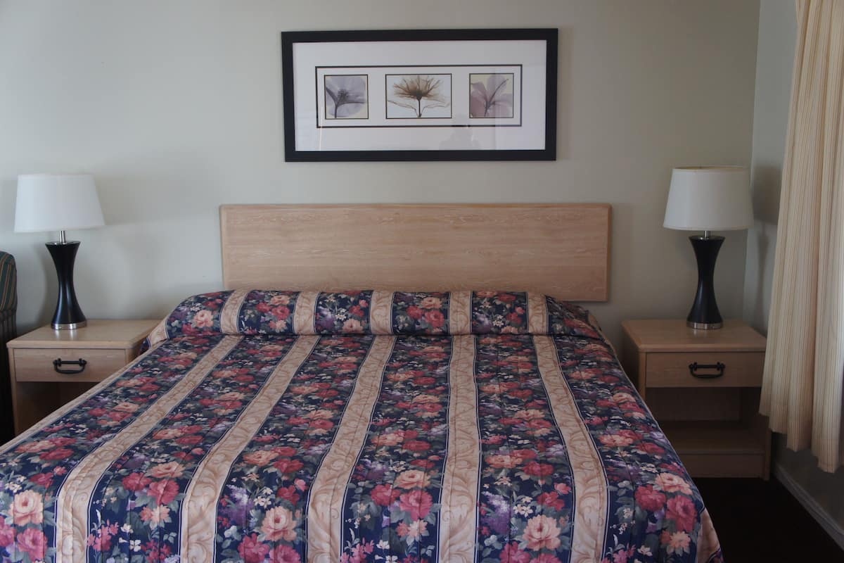 Standaard kamer, 1 queensize bed, niet-roken | 1 slaapkamer, verduisterende gordijnen, een strijkplank/strijkijzer