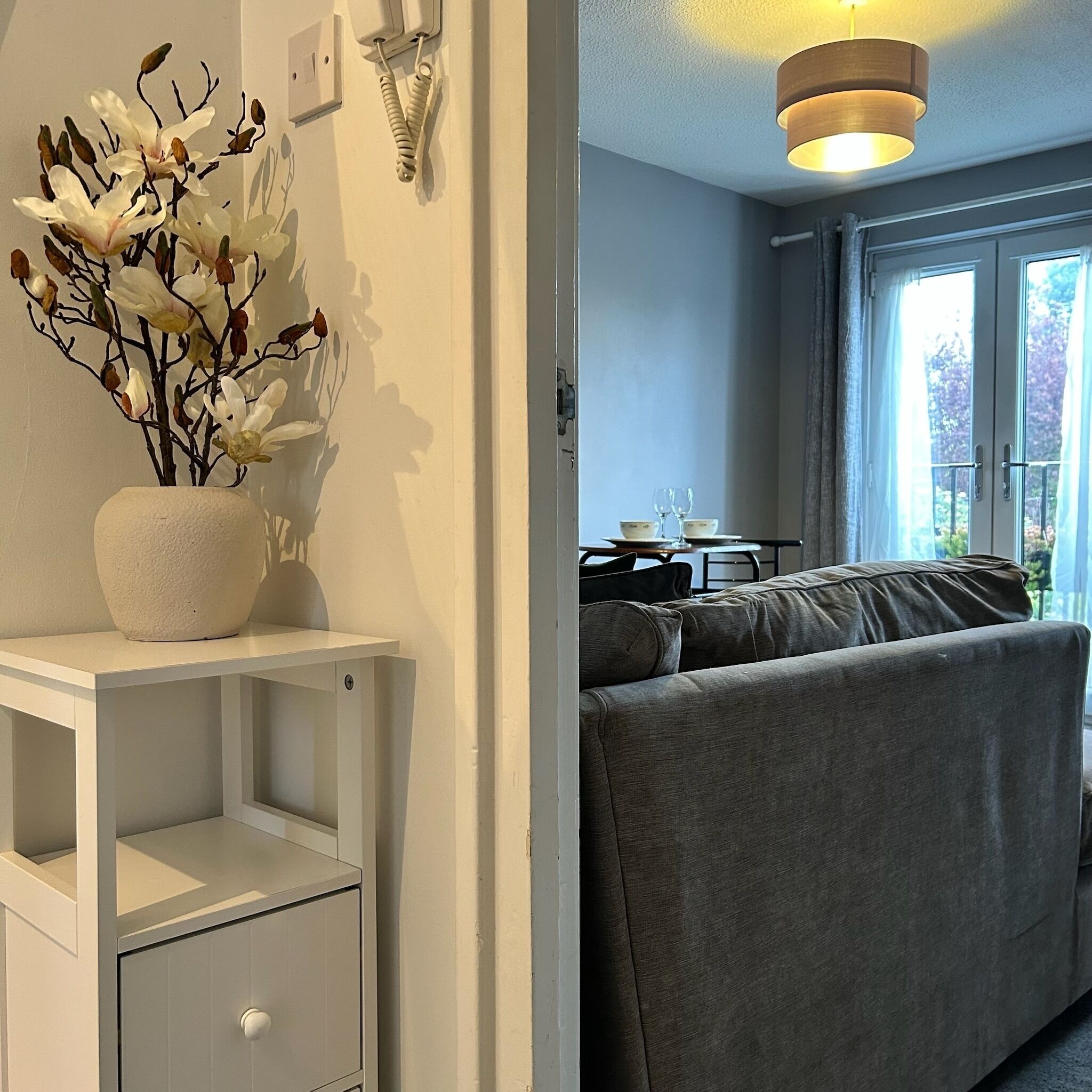 Una televisión, una biblioteca de música