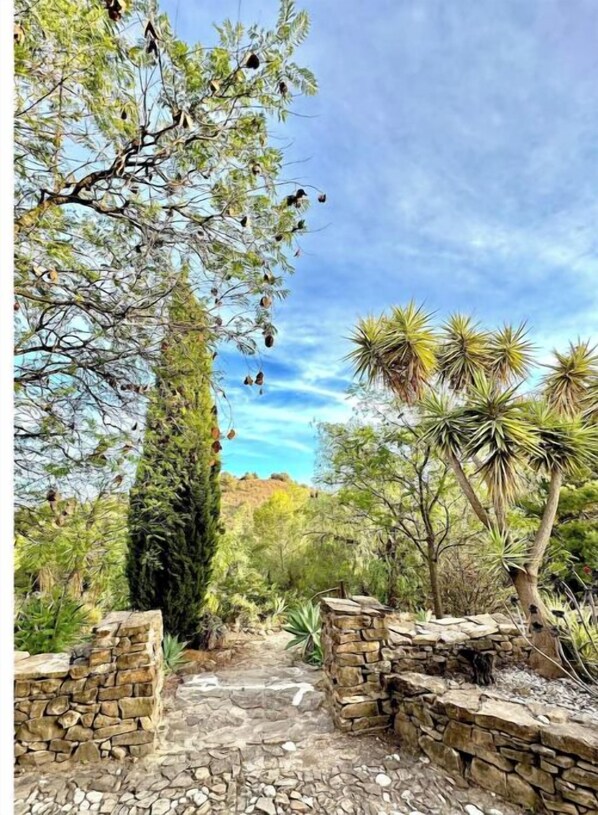 Property grounds - Cortijo Manquillo (Periana)