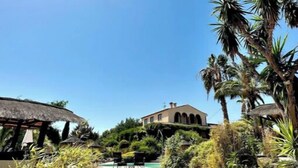 A sunny outdoor area with a building, palm trees, and a thatched structure.