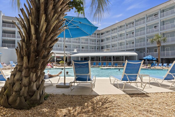Pool - HEATED OUTDOOR & INDOOR POOL! Monthly Rates Available @ HHR! (Hilton Head Island)