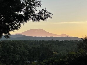 2 bedrooms, travel cot, bed sheets - Maison Avec un Jardin (Usariver)