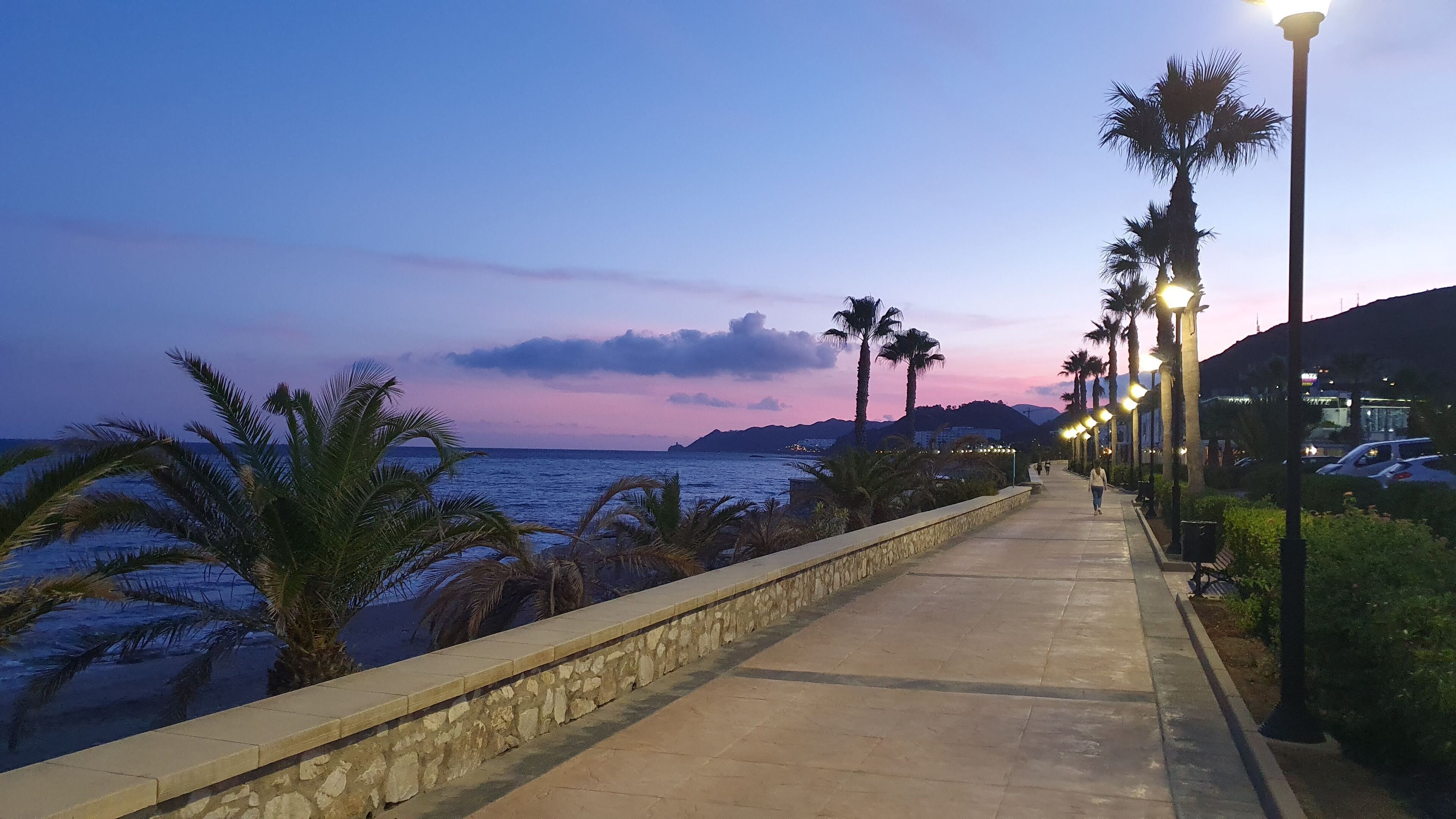 Un paseo marítimo con palmeras, un muro de piedra y faroles.