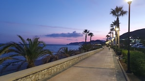 A coastal walkway with palm trees, a stone wall, and street lamps.