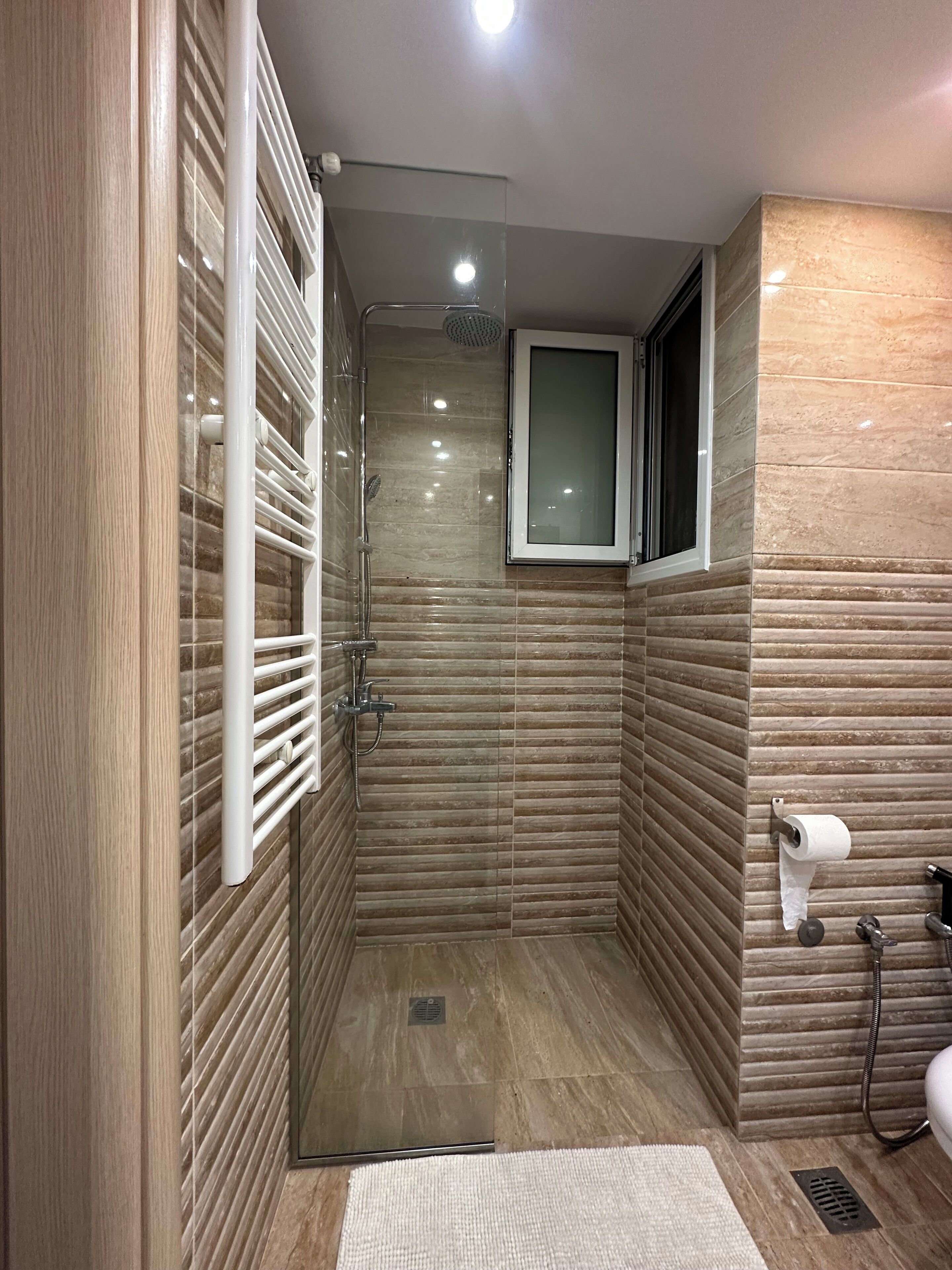 Shower, hair dryer, bidet, towels