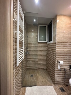Regadera, secadora de cabello, bidet, toallas 